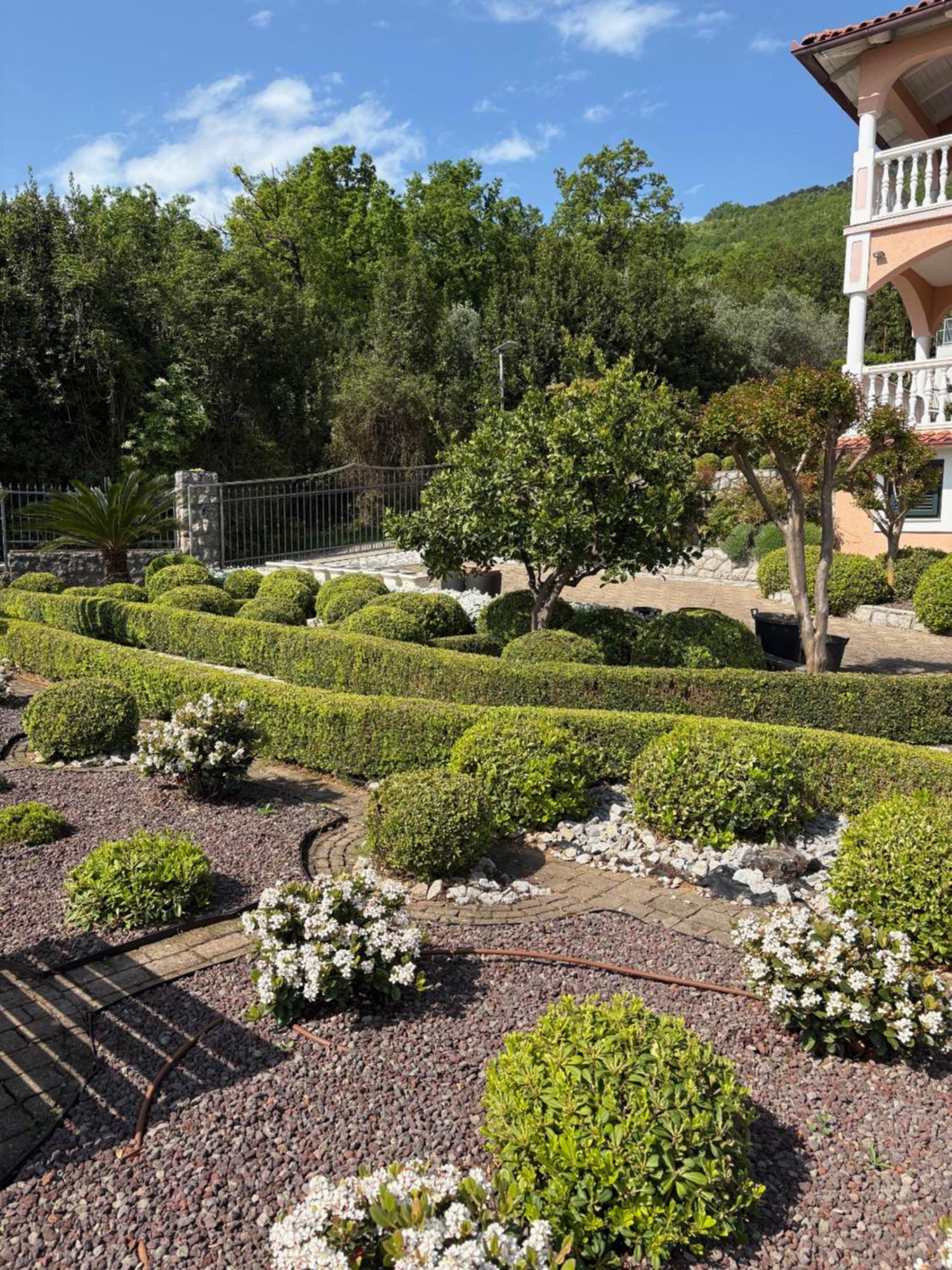 Bed And Breakfast Villa Iris Mošćenička Draga Exteriör bild